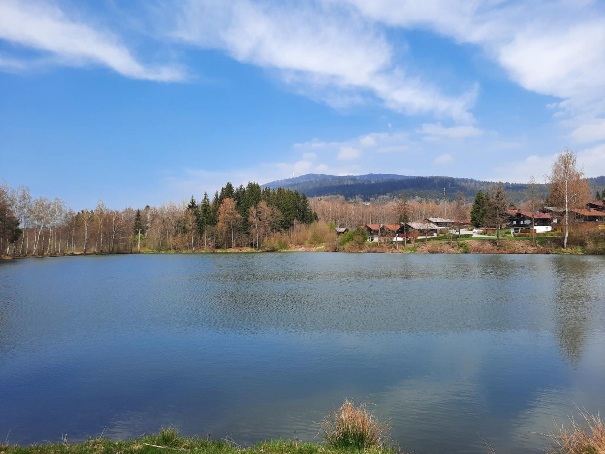 Fewo Bayerischer Wald Arrach Exterior foto