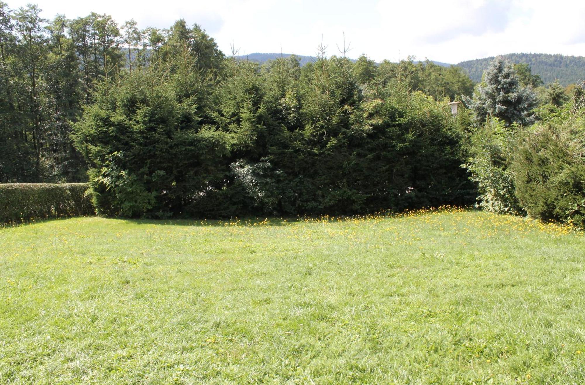 Fewo Bayerischer Wald Arrach Exterior foto